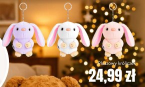 Króliczek niska cena