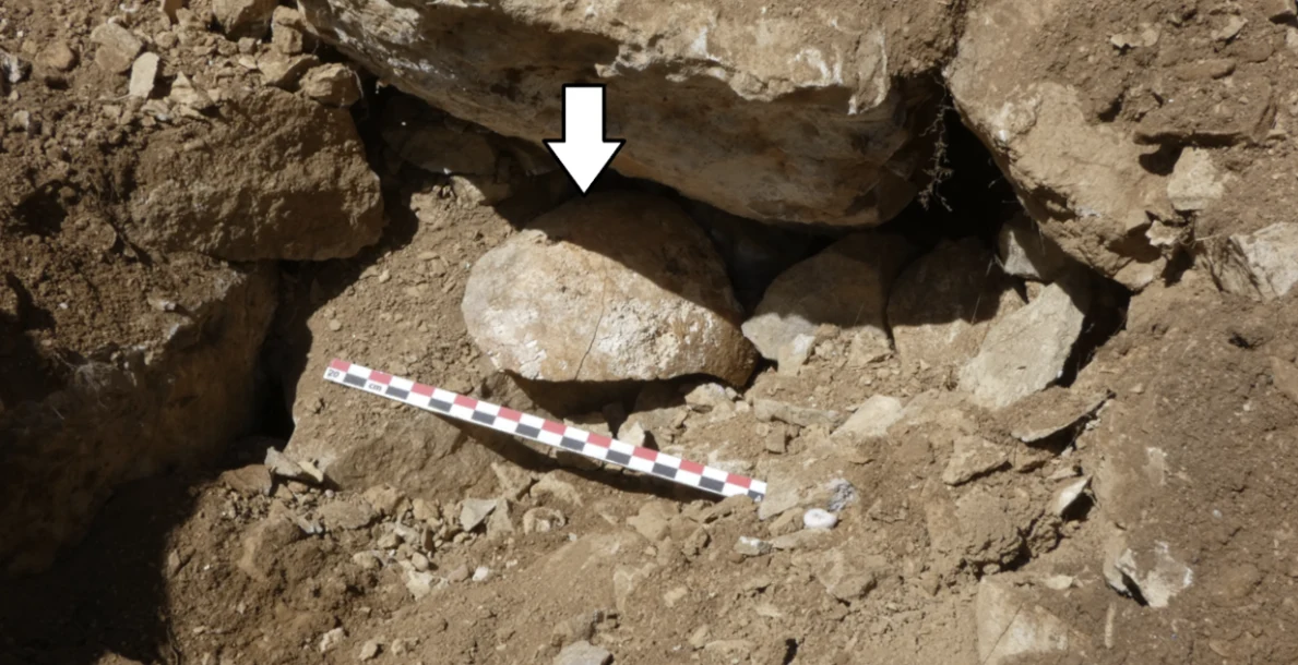 Czaszka na murze fortu La Loma. Archeolodzy odkryli ślady rzymskiej egzekucji sprzed 2000 lat Kamienne narzędzia częściowo odsłonięte w ziemi, strzałka wskazuje konkretny znalezisko, obok znajduje się skala pomiarowa ułatwiająca ocenę rozmiaru obiektu.