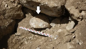 Makabryczne odkrycie. To głowa, którą Rzymianie straszyli przeciwników