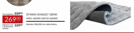 Dywan Shaggy