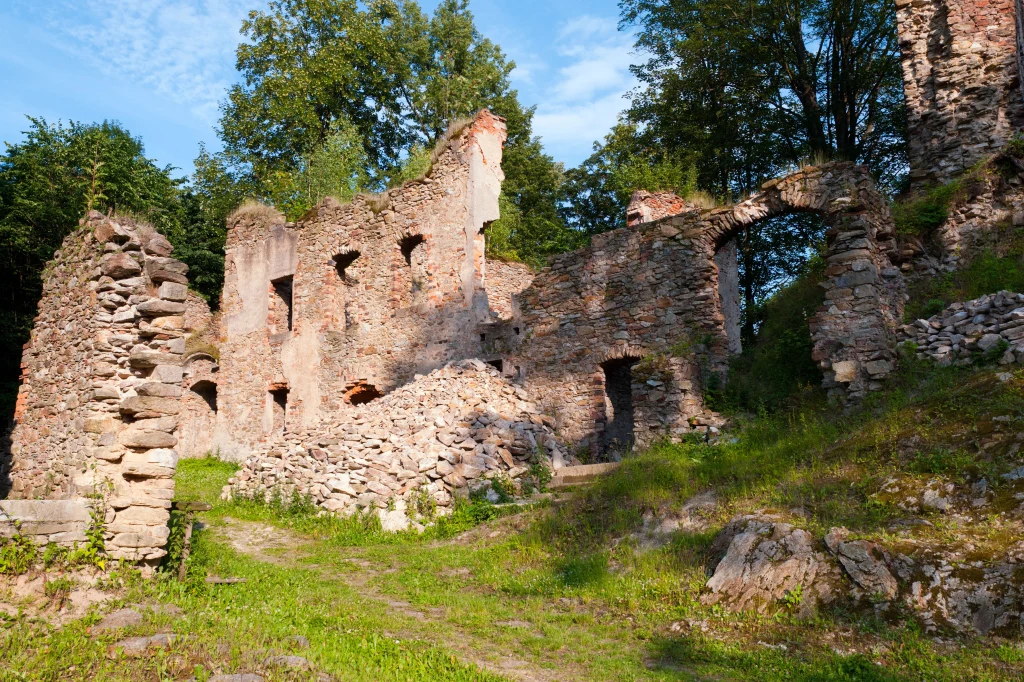 Niezwykły zamek na Dolnym Śląsku odbudowywany jest już niemal 20 lat Ruiny kamiennego zamku otoczone zielenią, resztki murów i fragmenty okien widoczne wśród roślinności, całość podkreślona światłem słonecznym w pogodny dzień.