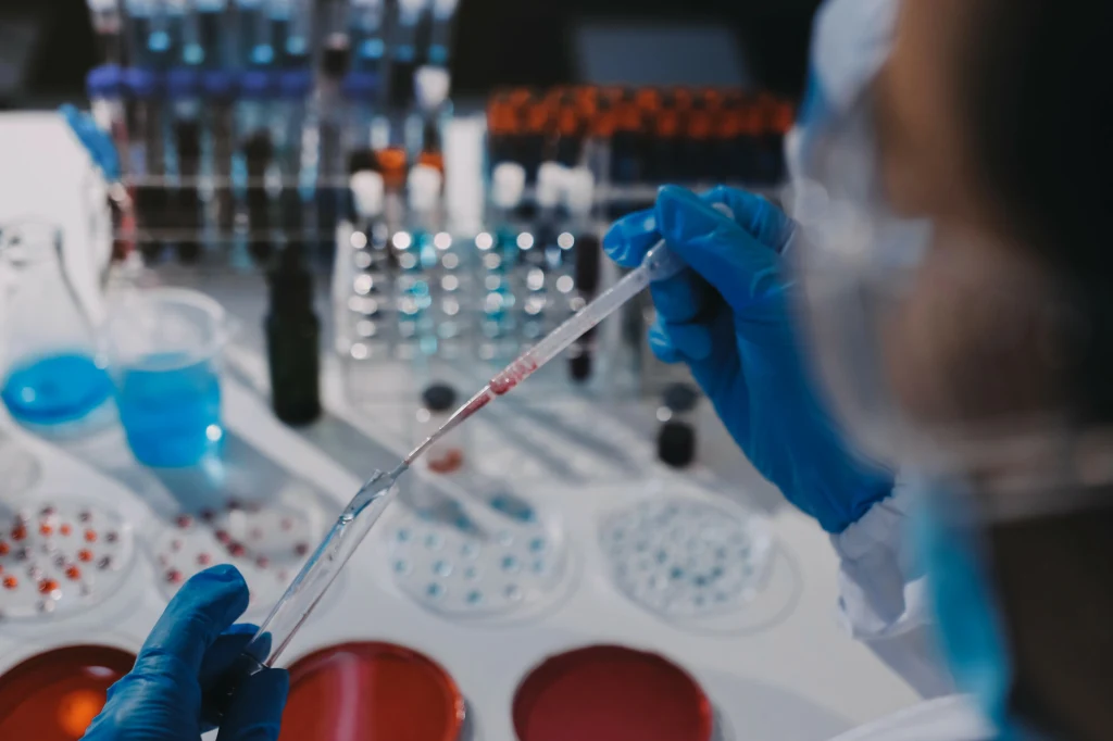 Laborant w rękawiczkach i goglach ochronnych wykonuje badania z użyciem pipety i płytek Petriego na stole laboratoryjnym, otoczony przez liczne próbki biologiczne i naczynia laboratoryjne.