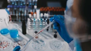 Ogłosili, że pierwszy gatunek epoki lodowcowej zwiększa zasięg w naturze