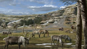 Znaleźli DNA olbrzyma epoki lodowcowej. Było na włóczni myśliwych