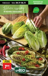 Black Week pełen korzyści - Biedronka