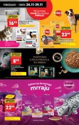 Black Week pełen korzyści - Biedronka