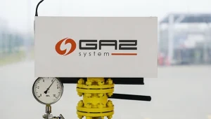 Strategiczny polski projekt pod presją. Ujawniono wady kluczowych elementów