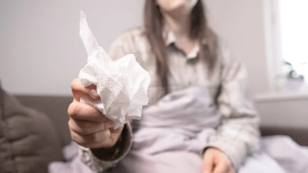 Segregacja zużytych ręczników papierowych i chusteczek - gdzie wyrzucać te odpady?