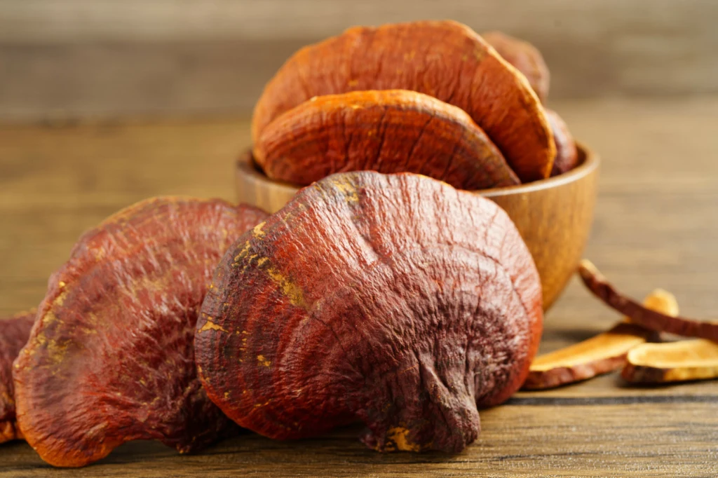 Ganoderma lucidum, czyli reishi to symbol medycyny tradycyjnej Azji Ganoderma lucidum, czyli reishi to symbol medycyny tradycyjnej Azji