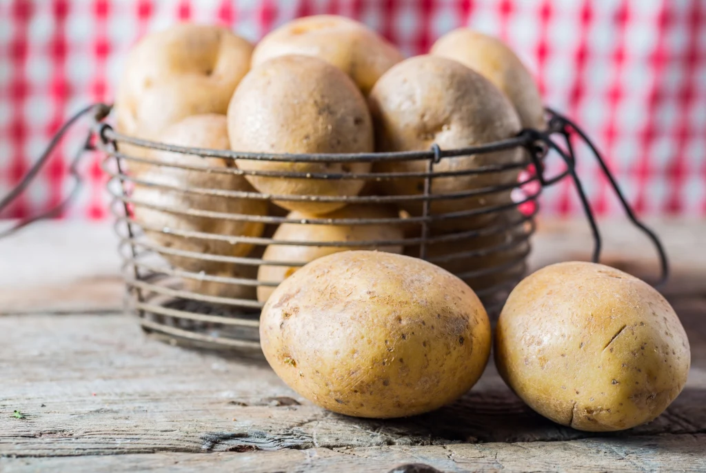 Ziemniaki przechowujmy w koszyku w zacienionym miejscu Kosz metalowy wypełniony świeżymi ziemniakami ustawiony na drewnianym stole, w tle wzorzysty czerwono-biały materiał oraz dwie bulwy ziemniaka leżące z przodu stołu.