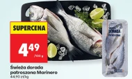 Dorada Marinero