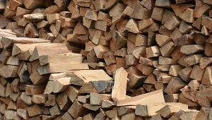 Czym jest i ile kosztuje drewno suszone komorowo?