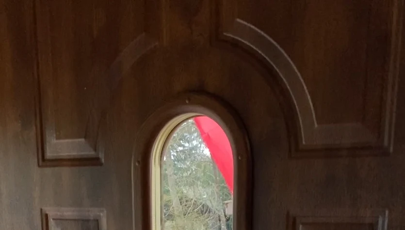 Modraszka pukająca do drzwi