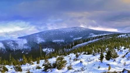 Jak wejść na Śnieżnik zimą? Oto opcja dla początkujących wędrowców