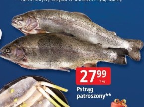 Pstrąg C &C niska cena