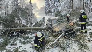 Drzewo spadło na samochód osobowy. Udostępniono nagranie