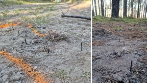 Niebezpieczna pułapka na leśnej drodze. Na miejsce wezwano policję