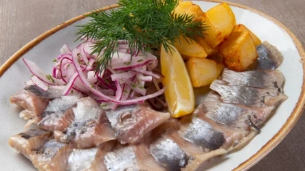 Śledź to prawdziwy superfood - skarbnica kwasów omega 3, jodu i selenu. Ale zanim kupisz, sprawdź, skąd pochodzi