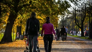 Nowy trend wśród rodziców. ZUS pokazał wymowne statystyki