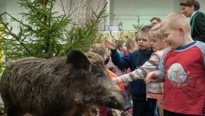 Myśliwi będą mieć zakaz wstępu do szkół i przedszkoli? Jest petycja