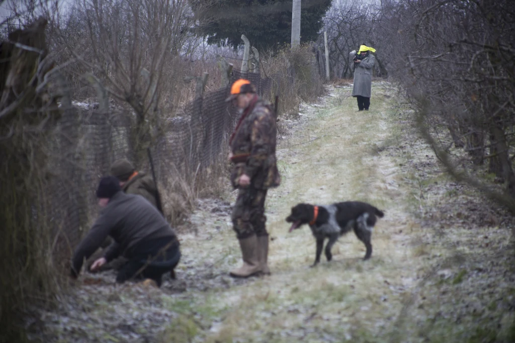 Psychologowie zwracali uwagę, że udział dzieci w polowaniach i obecność przy zabijaniu zwierząt "w imię niejasnych dla nich intencji, jest szkodliwe i niedopuszczalne Psychologowie zwracali uwagę, że udział dzieci w polowaniach i obecność przy zabijaniu zwierząt "w imię niejasnych dla nich intencji, jest szkodliwe i niedopuszczalne