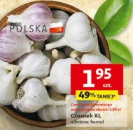 Часник Harnaś