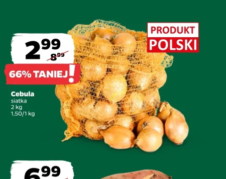 Cebula Polski