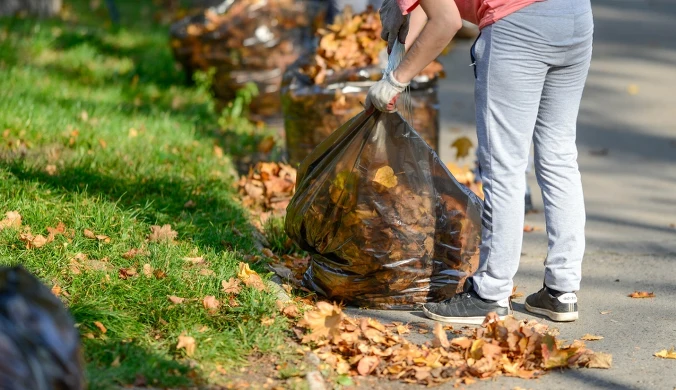 Czy grabienie liści jest potrzebne naturze? I czy koniecznie musimy zbierać je w worki?