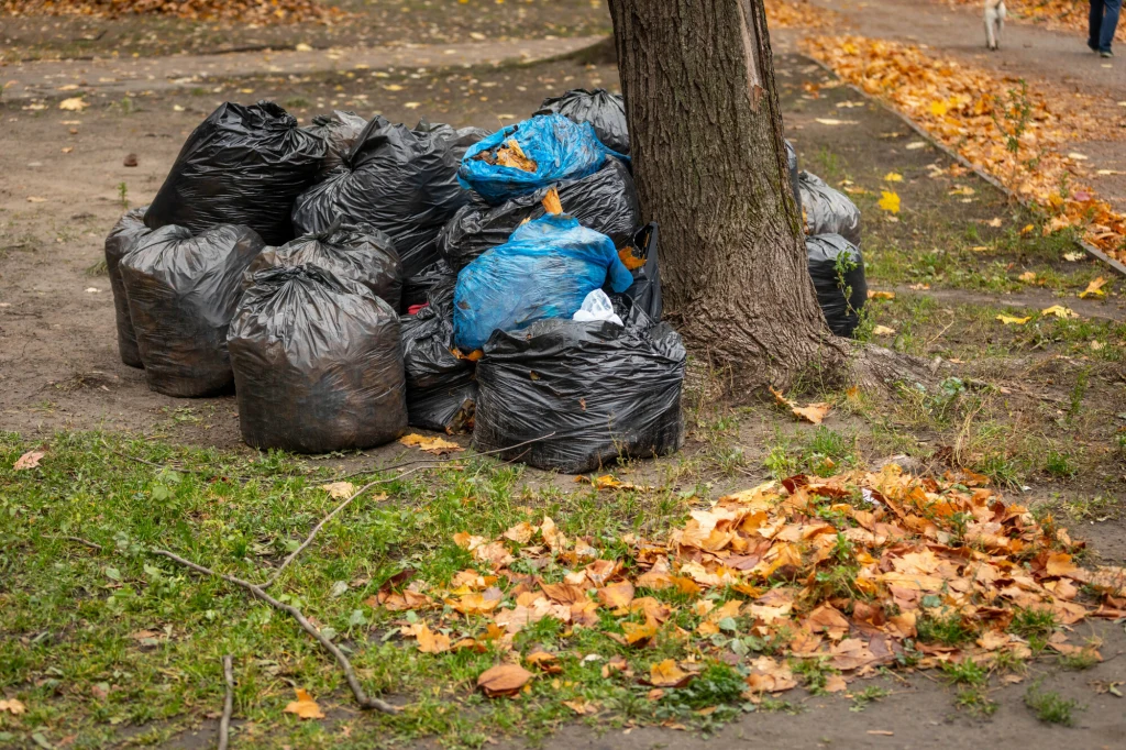 Worki pełne liści to niestety coraz częstszy widok na naszych osiedlach Kilka czarnych i niebieskich worków na śmieci ułożonych pod drzewem na trawie, otoczenie pokryte spadającymi jesiennymi liśćmi.