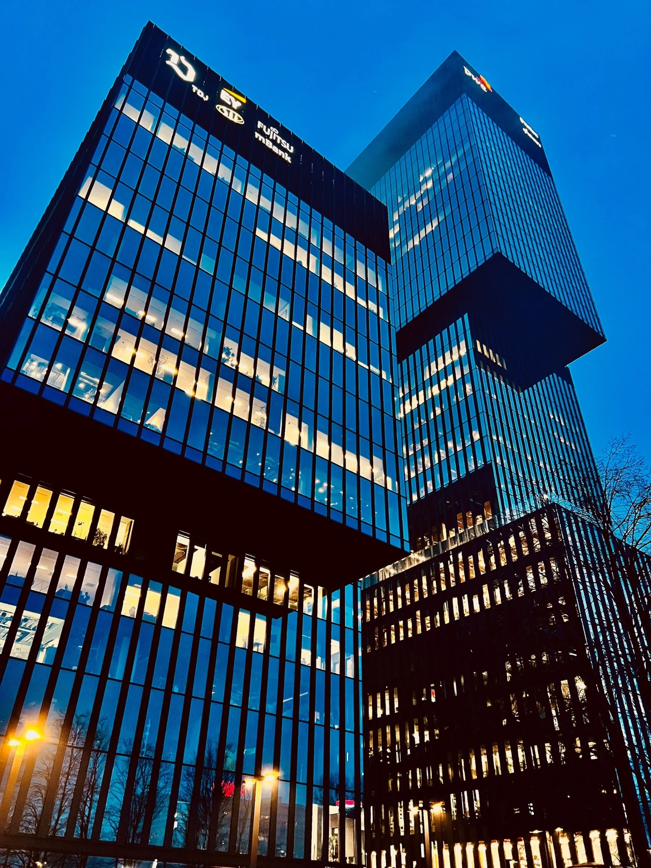 Nowoczesne szklane wieżowce z podświetlonymi oknami górujące nad miastem na tle niebieskiego nieba, widoczne refleksy świateł ulicznych oraz minimalistyczna zieleń po prawej stronie kadru.