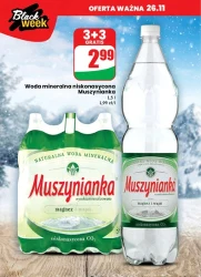 Zimowe promocje – Dino