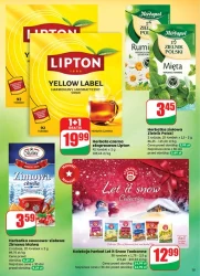 Świąteczne okazje – Dino