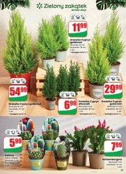 Різдвяні знижки - Dino