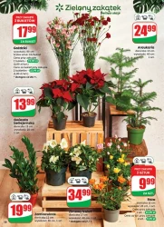 Świąteczne okazje – Dino