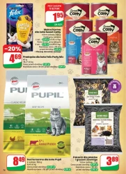 Świąteczne okazje – Dino