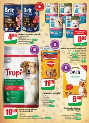 Świąteczne okazje – Dino