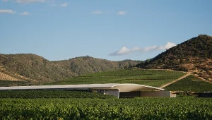 To najlepsza na świecie winnica. Nie leży w Hiszpanii, Francji czy we Włoszech