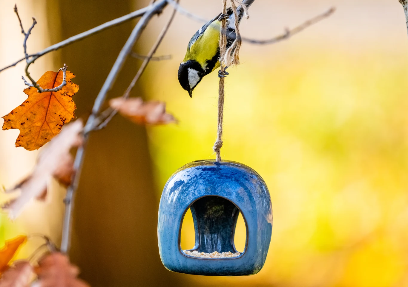 Zadbajmy o naszych małych przyjaciół. Nie dokarmiajmy ich zepsutym jedzeniem, bo może im to zaszkodzić. Najlepsza będzie karma dla ptaków.