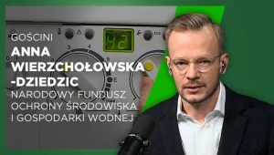 Miejskie wampiry energetyczne. Wysysają z powietrza to, co najcenniejsze