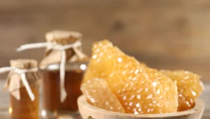 Propolis, znany też jako kit pszczeli, to wytwór z mieszaniny żywic