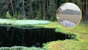 Polskie jezioro nagle zaczęło wyglądać jak hummus. "To nie fotomontaż"