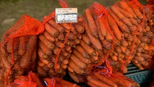 Padł rekord importu marchewki. W tych miesiącach sprawdziliśmy najwięcej