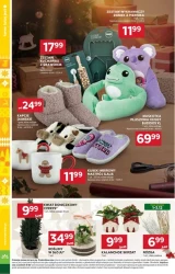 Смачні натхнення - Daisy Market