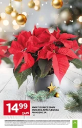 Codzienne superceny – Stokrotka Supermarket