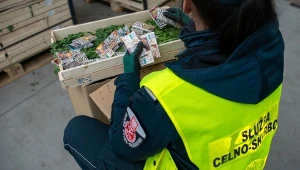 Przemyt 50 tys. paczek białoruskich papierosów w pietruszce