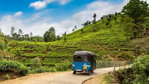 Podróż na Sri Lankę