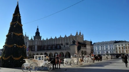 Zimy w Polsce z każdym rokiem są coraz cieplejsze