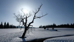 Wcale nie Suwałki. W tym najzimniejszym miejscu w Polsce mróz sięga -45°C