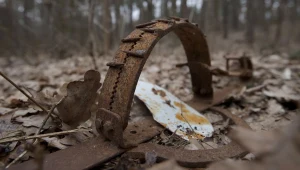 Leśnicy pokazali zdjęcia i ostrzegają. "Warto wiedzieć, jak mogą wyglądać"