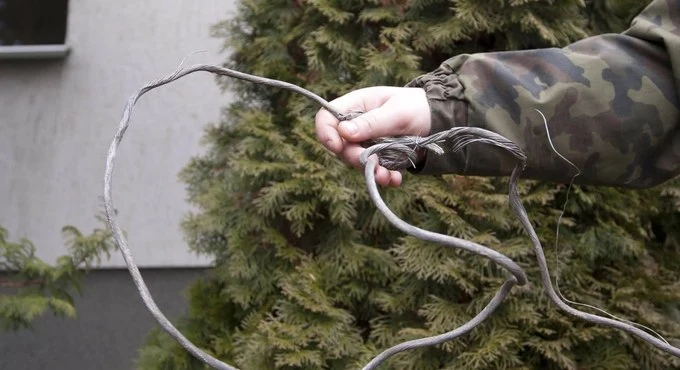 Dłoń w wojskowym rękawie trzyma poskręcany, przecięty przewód, w tle widoczne zielone iglaste drzewo oraz ściana budynku.